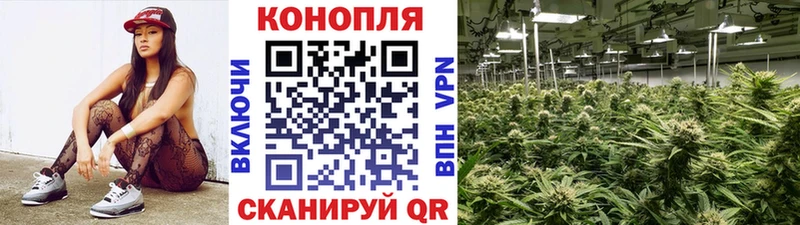 купить наркотик  Пыталово  МАРИХУАНА планчик 